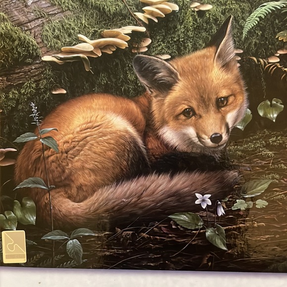 TCG Wildlife 750 Piece Puzzle “Forest Floor” - Picture 4 of 10